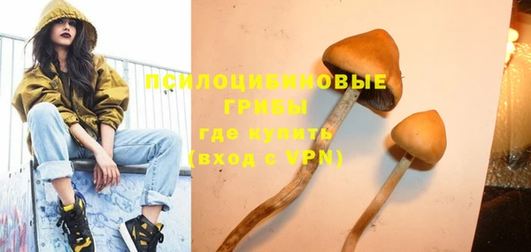 прущие грибы Майский