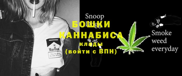 дурь Магас