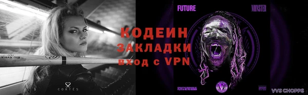 прущие грибы Майский
