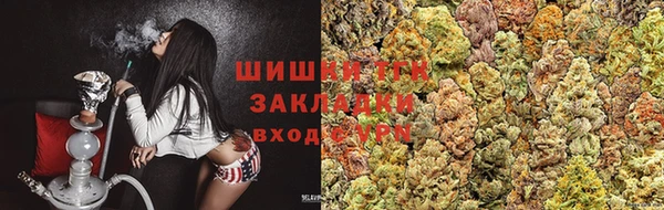 прущие грибы Майский