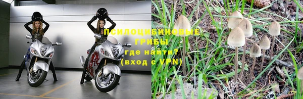 гашик Магадан