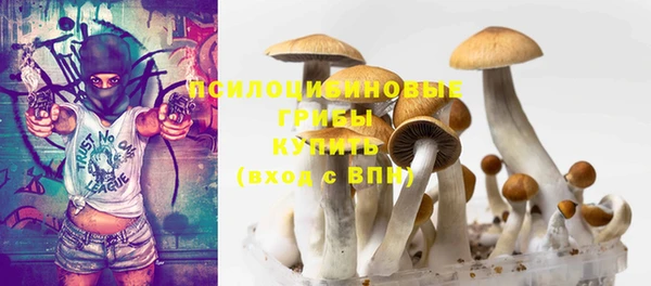 гашик Магадан