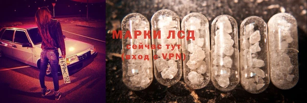 гашик Магадан